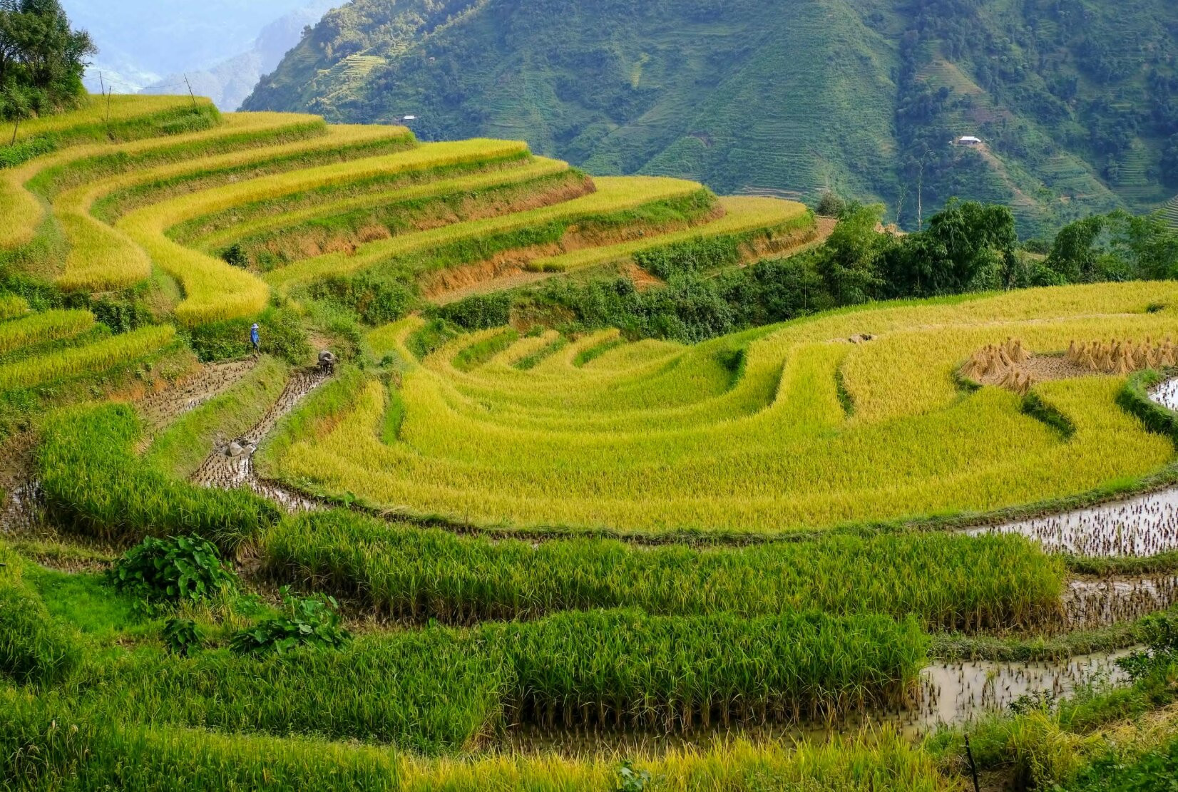 28 quốc gia đẹp nhất thế giới, Việt Nam đứng ở vị trí nào?