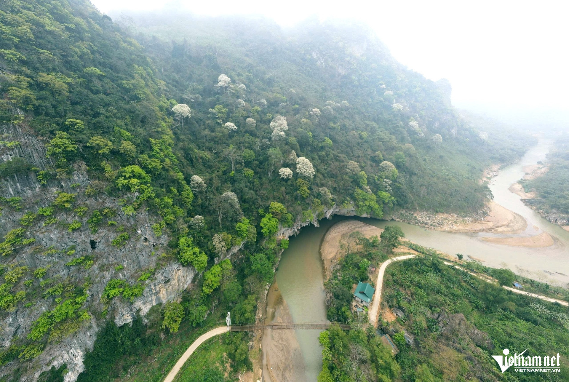 W-a1Hoa Mát nở trắng trời.jpg