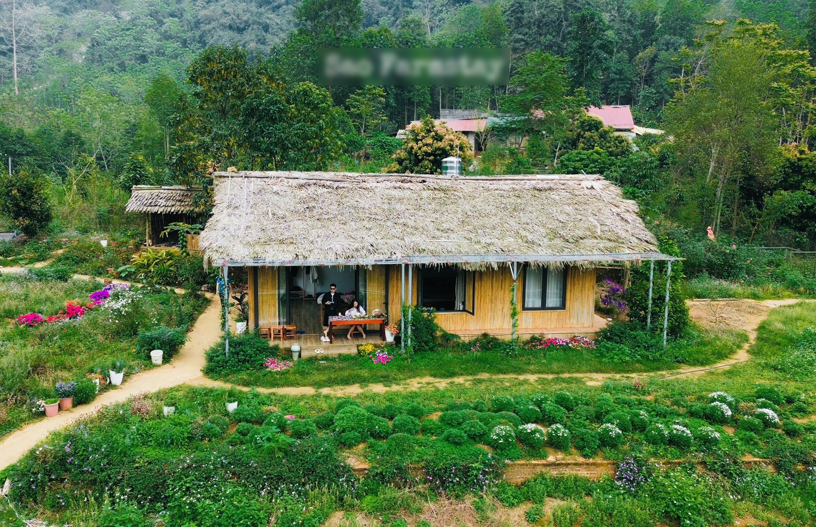 Bản làng xanh mát cách Hà Nội 250km, khách vượt xa đến hái rau, tự nấu cơm