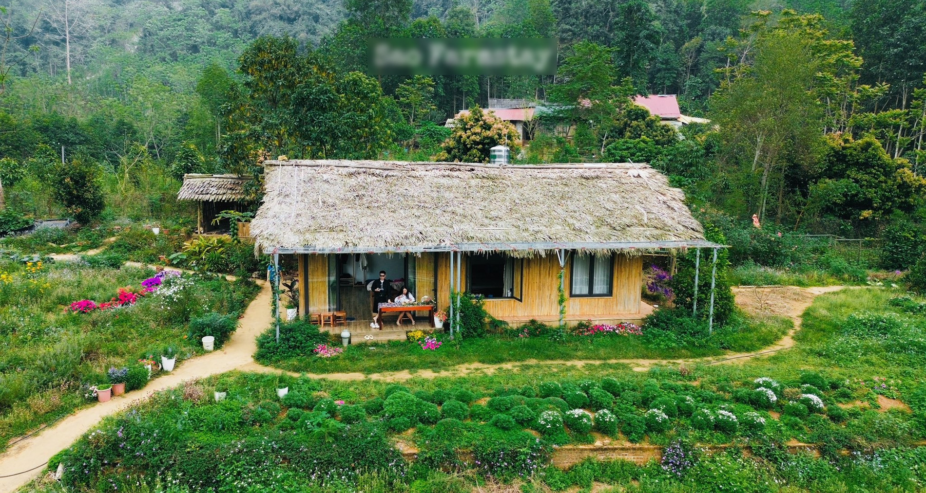 Bản làng xanh mát cách Hà Nội 250km, khách vượt xa đến hái rau, tự nấu cơm