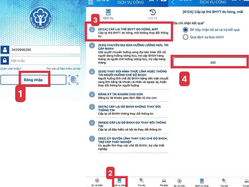 cap lai the bhyt qua vssid.png