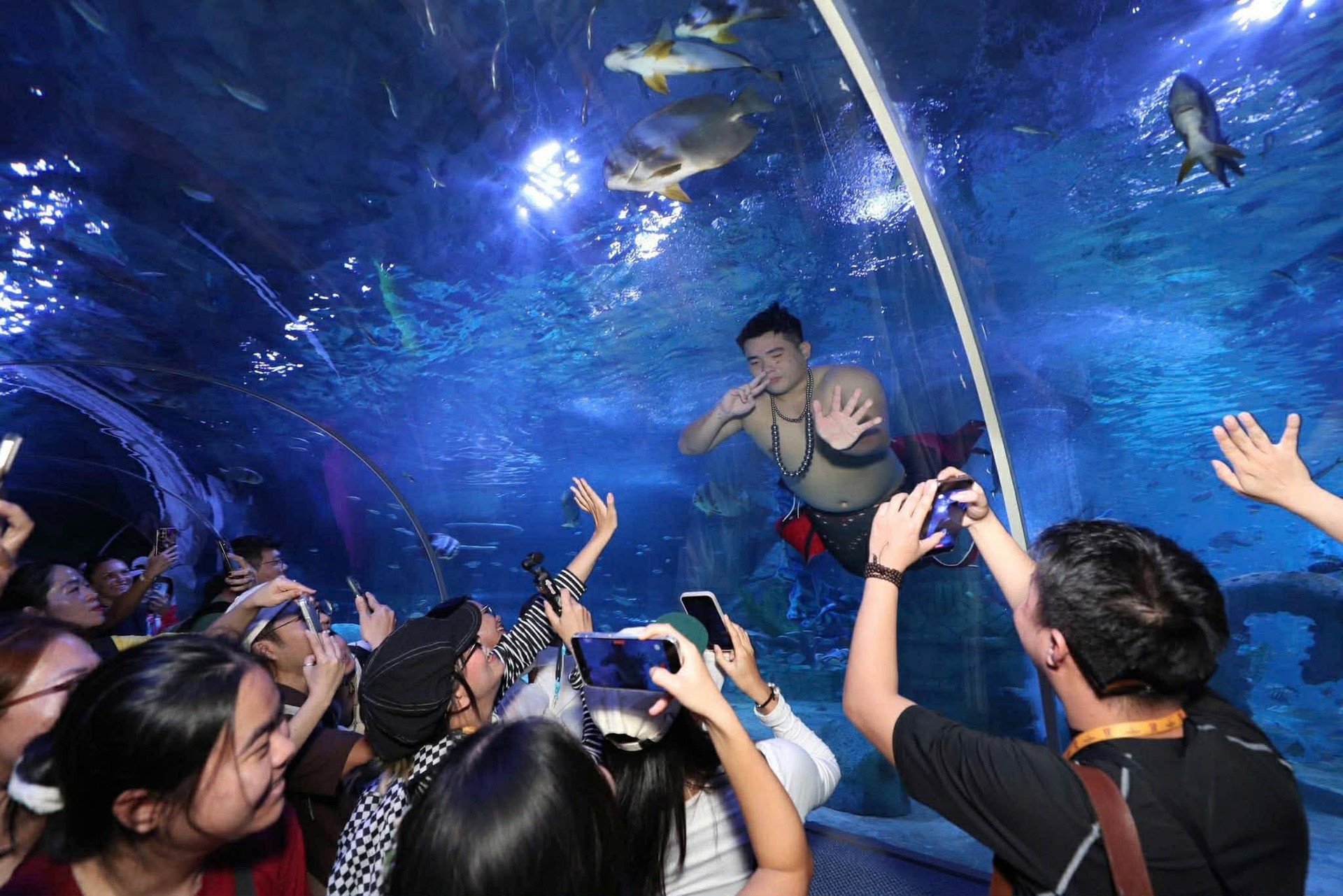 chàng tiên cá béo