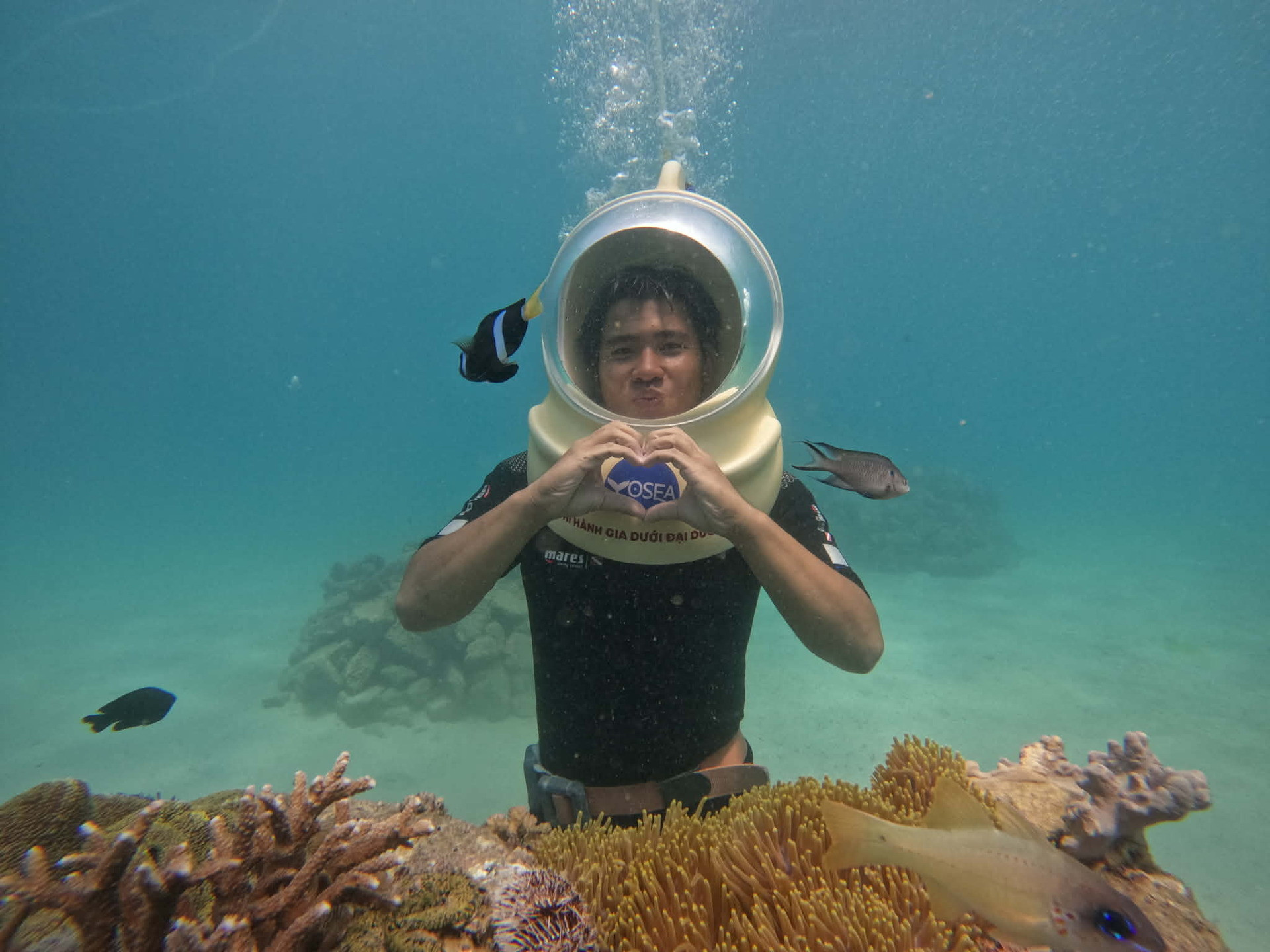 Chàng tiên cá hơn 100kg ở Nha Trang gây sốt với màn lắc bụng hài hước chàng tiên cá béo