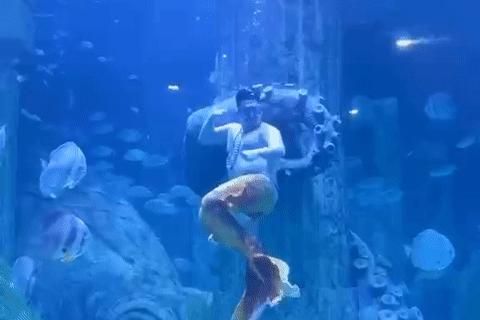 'Chàng tiên cá' hơn 100kg ở Nha Trang gây sốt với màn lắc bụng hài hước