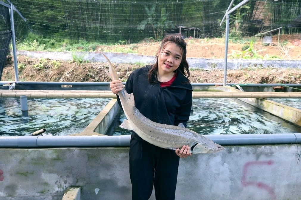 Cô gái Mường nuôi cá “quý tộc” trúng cử đại biểu HĐND tỉnh Thanh Hóa