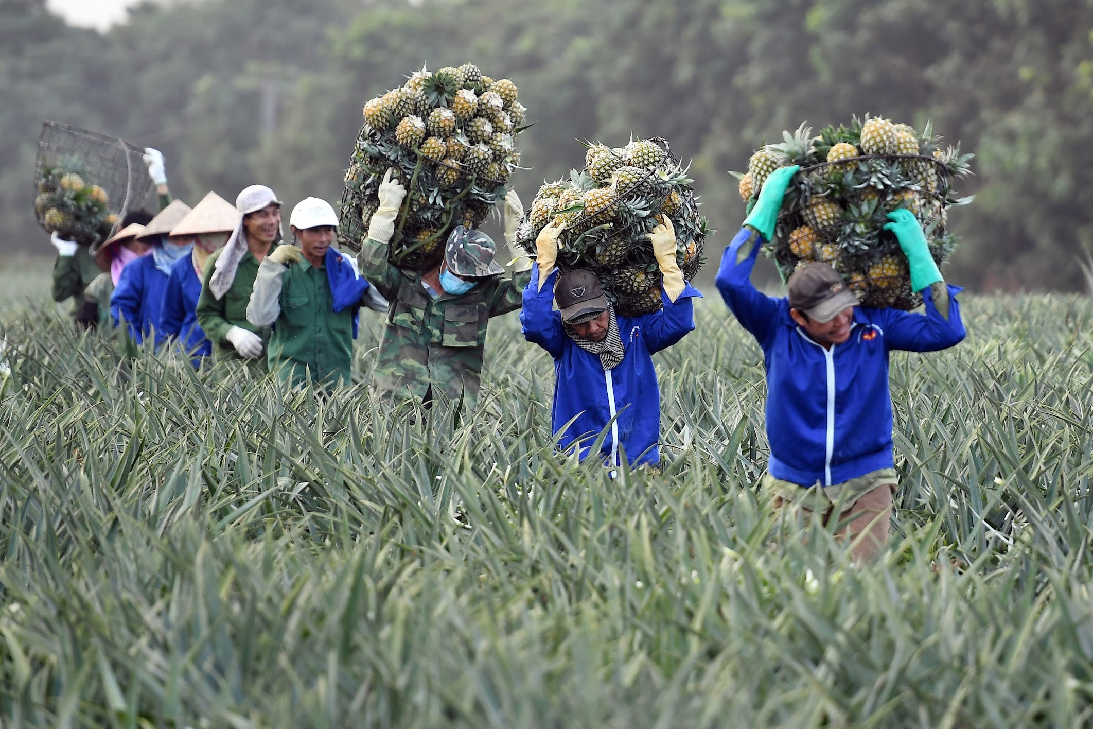 Lãnh đạo phải có tư duy đột phá để hỗ trợ nông dân làm giàu bền vững