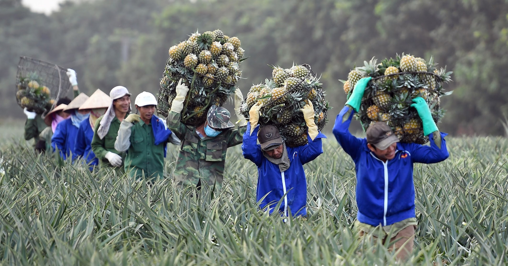 Lãnh đạo phải có tư duy đột phá để hỗ trợ nông dân làm giàu bền vững