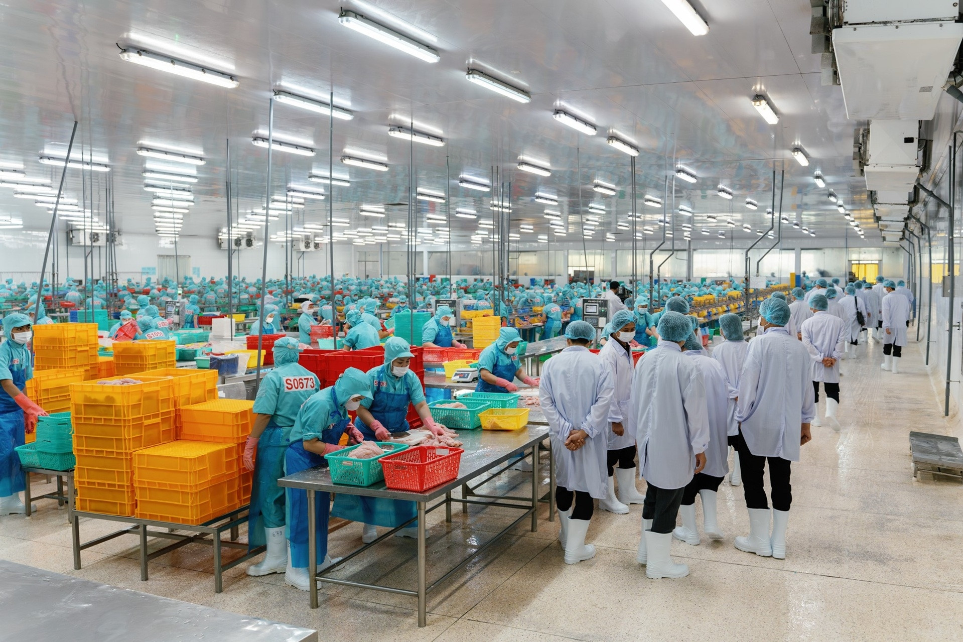 Lãnh đạo tỉnh Thanh Hóa đến thăm và làm việc tại Sao Mai Group