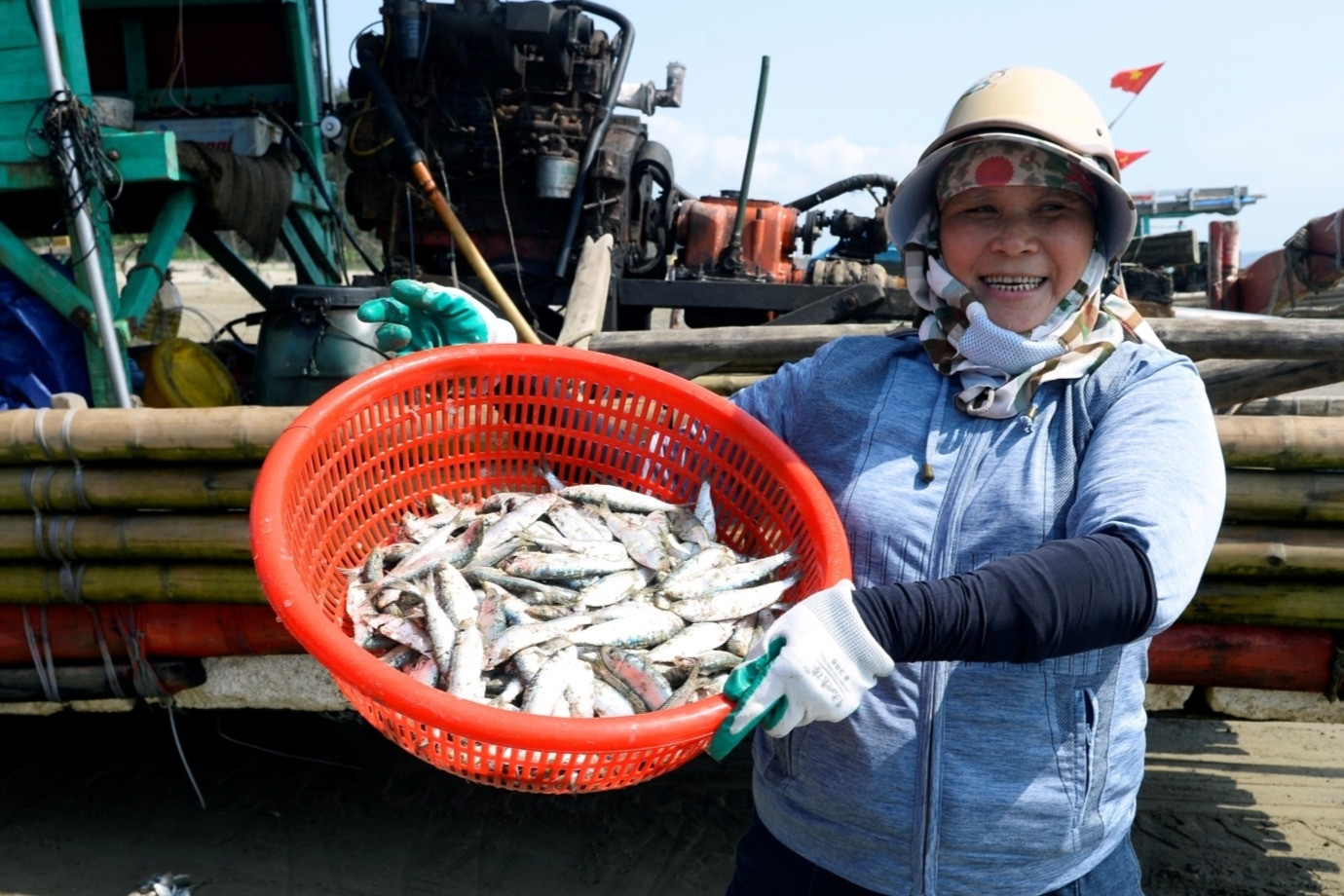 Ngư dân Thanh Hóa trúng đậm mùa cá trích, thu tiền triệu trong vài giờ