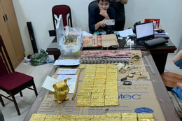 Phó Đức Nam lừa đảo chiếm đoạt hơn 1.301 tỷ đồng, bố mẹ tiếp tay tẩu tán tài sản