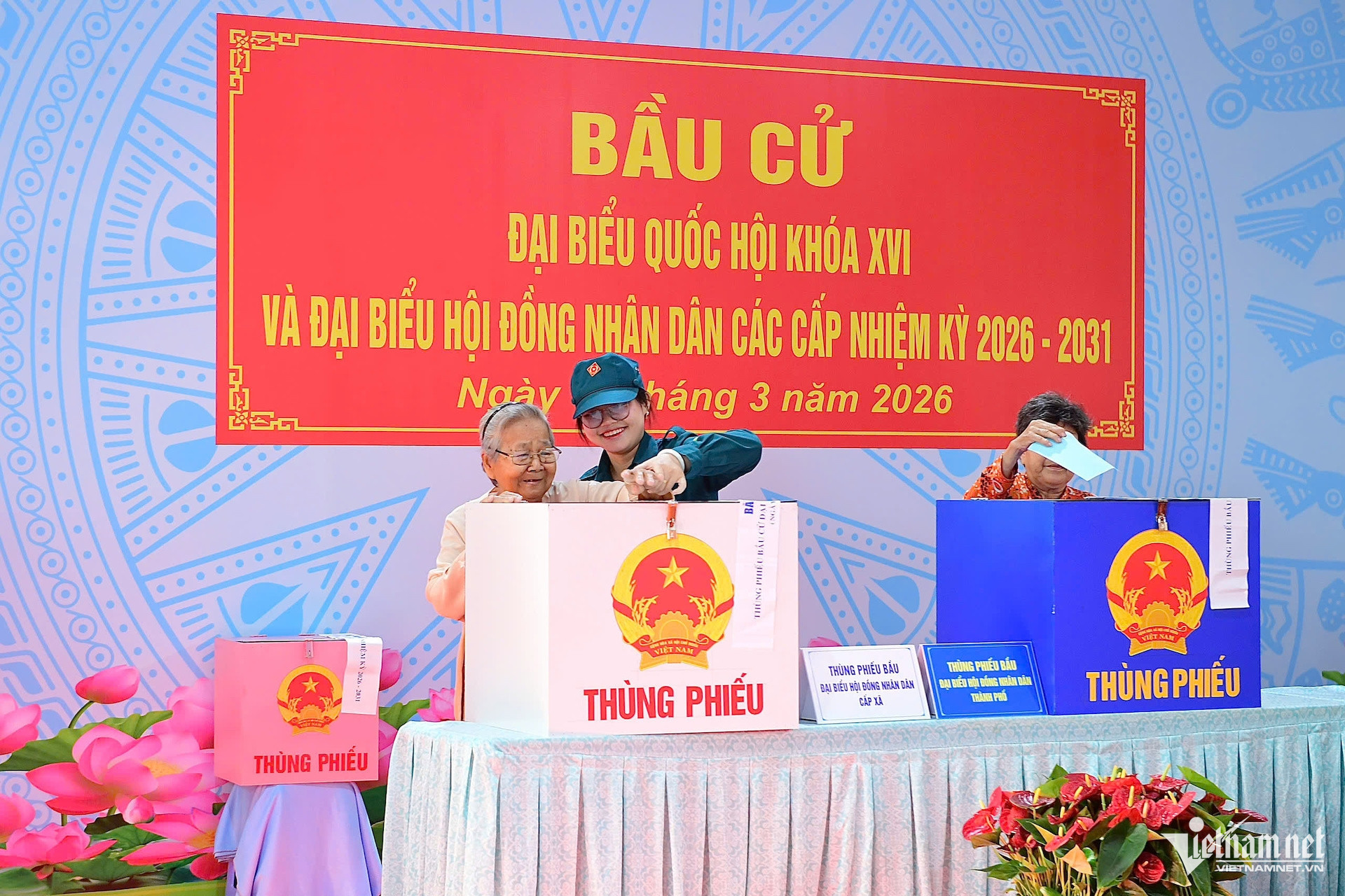 tran luu quang 871.jpg