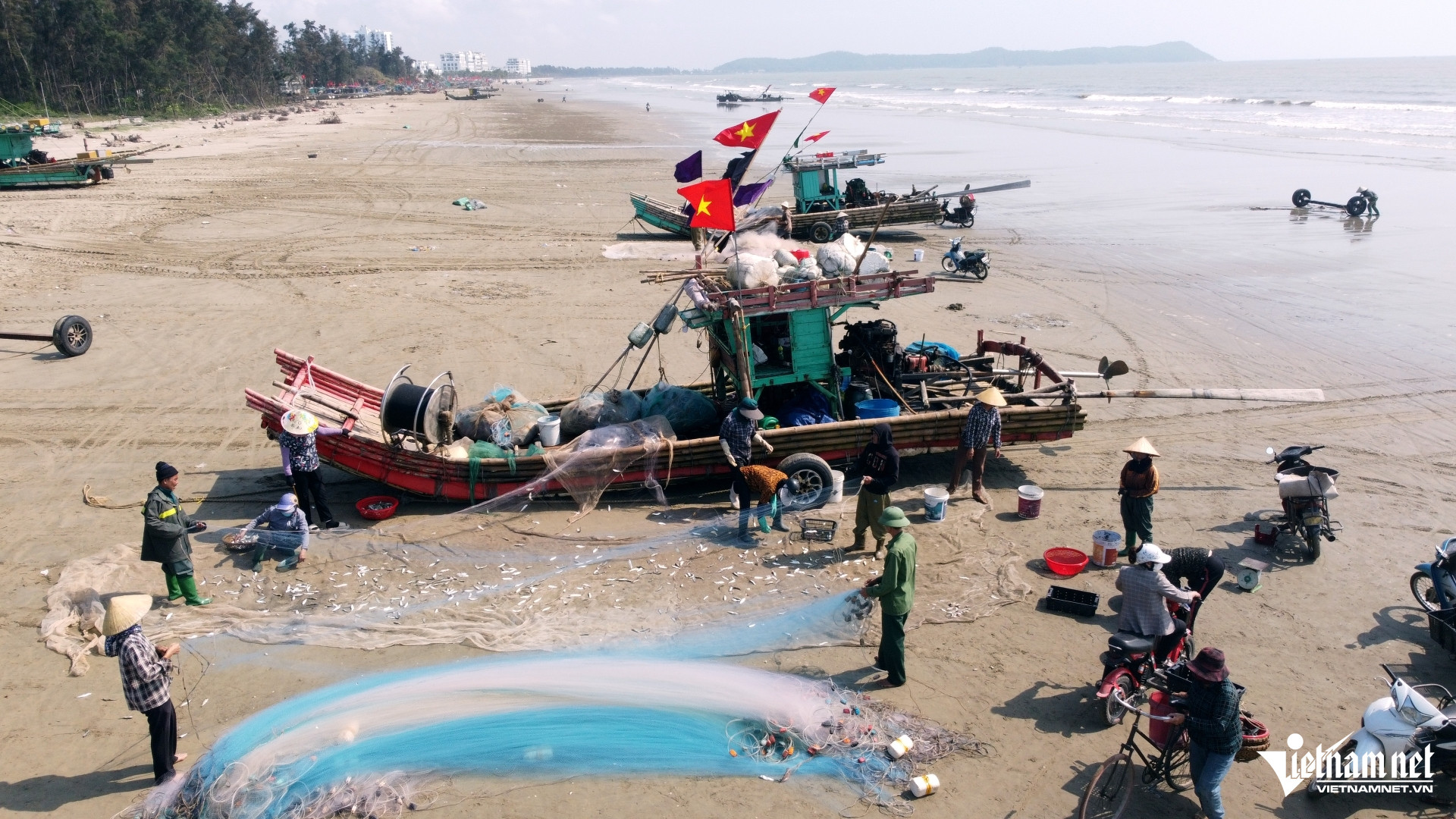 W-a1Giá cá trích tăng gấp đôi.JPG.jpg