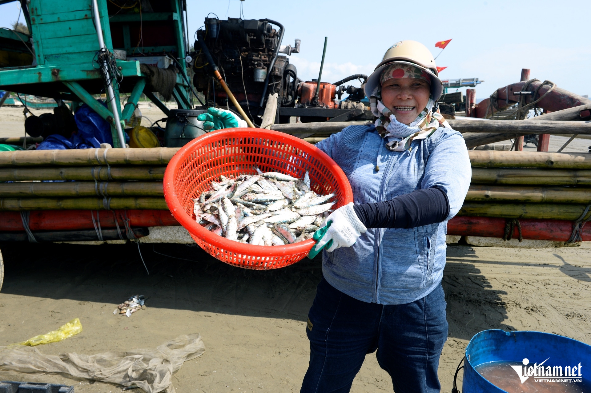 W-a6Giá cá trích tăng gấp đôi.JPG.jpg