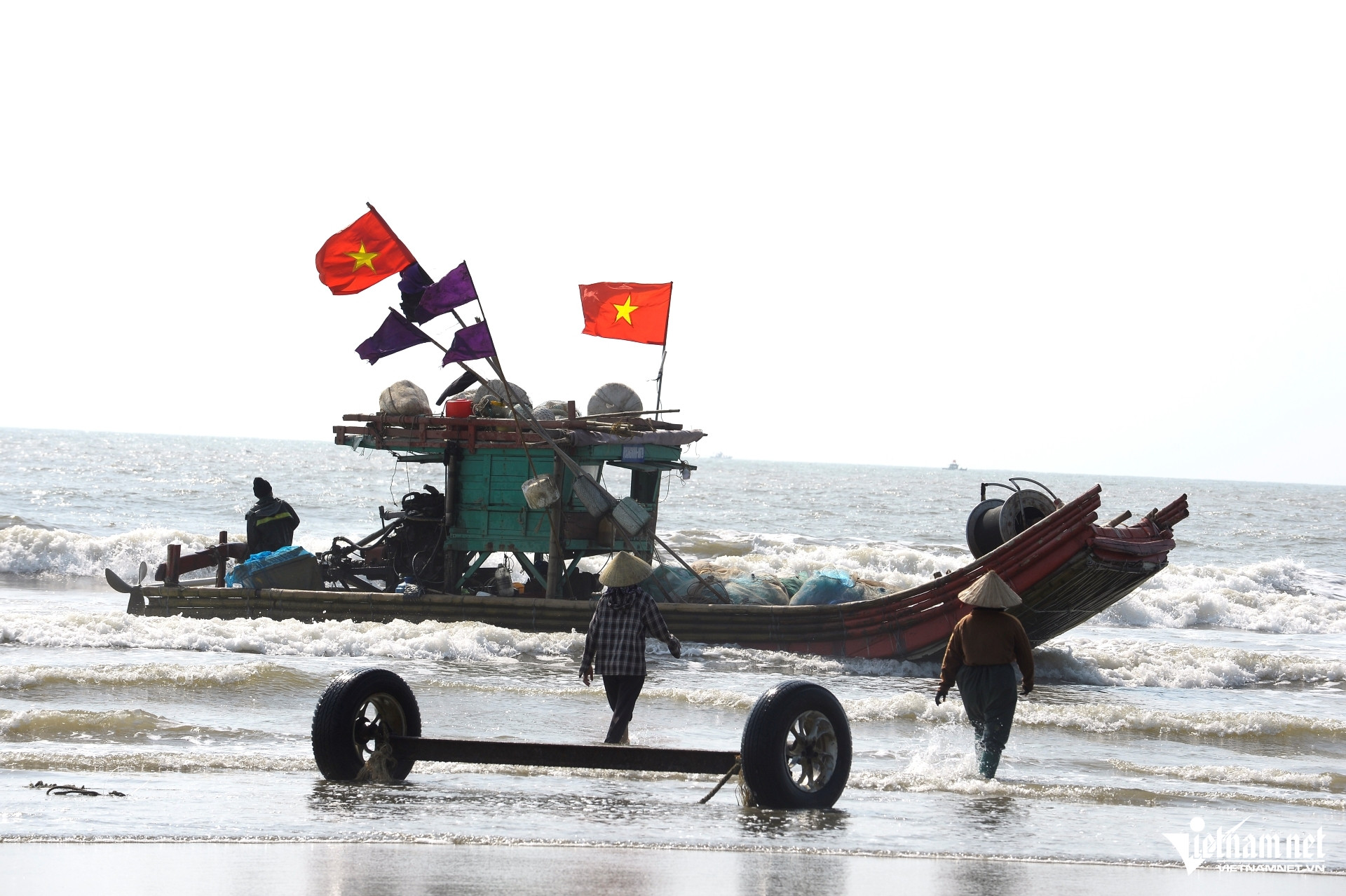 W-a8Giá cá trích tăng gấp đôi.JPG.jpg