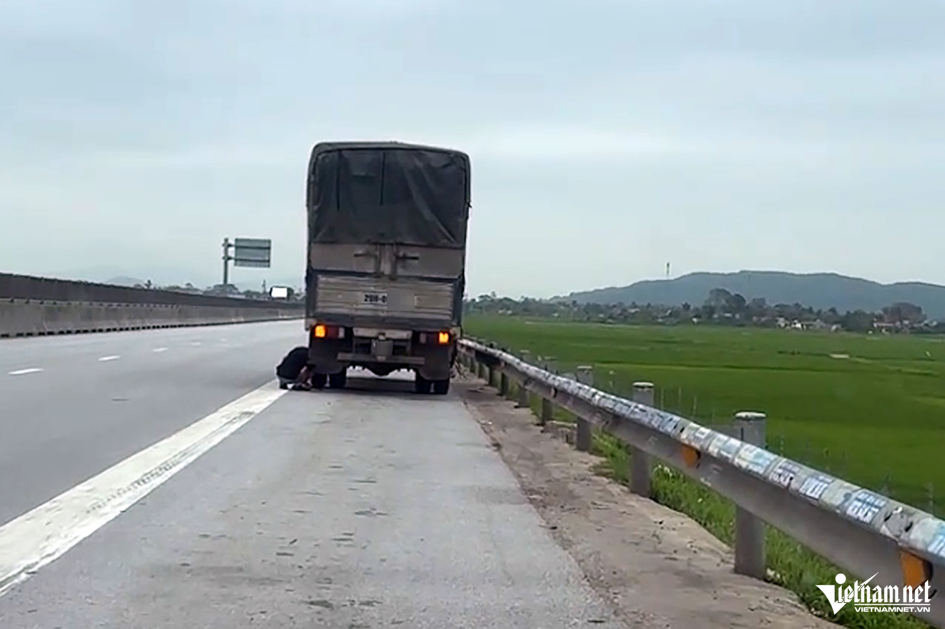 W-csgt hoa trang.jpg