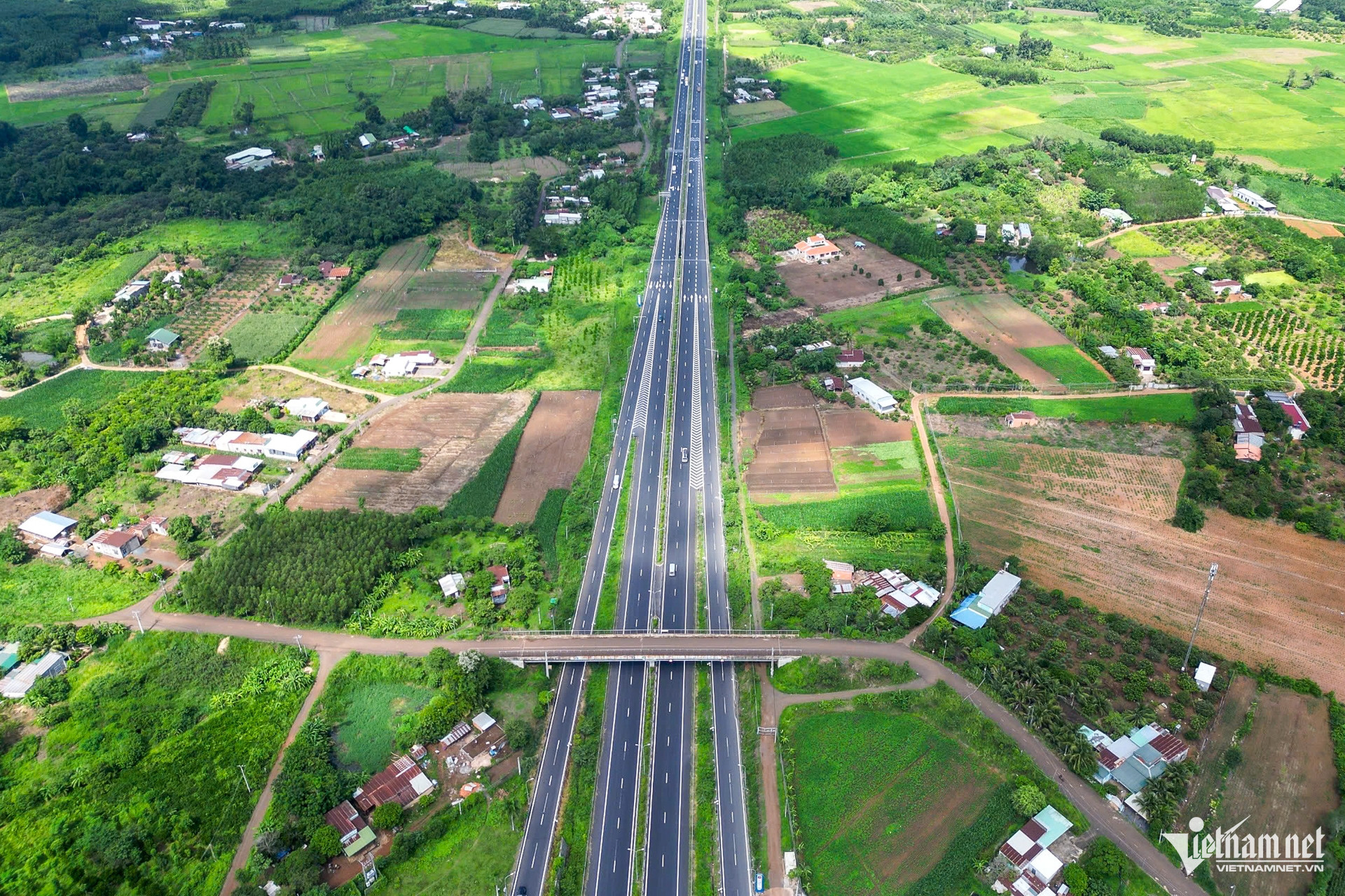 W-Đồng Nai 14.jpg