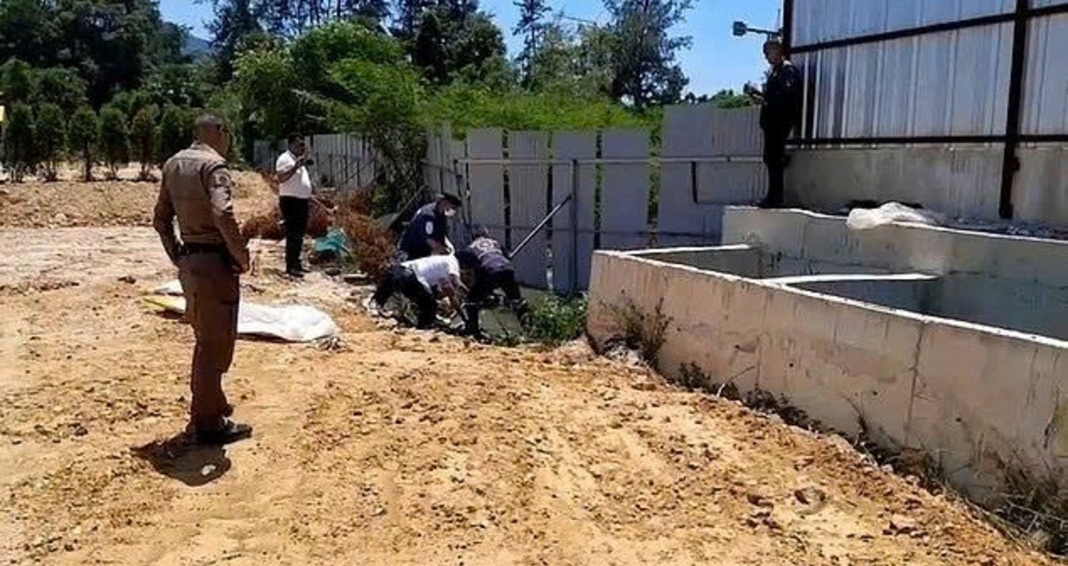 z7637787590064_20ff452a8203b2d0b7f81675c34e5a54 (2).jpg