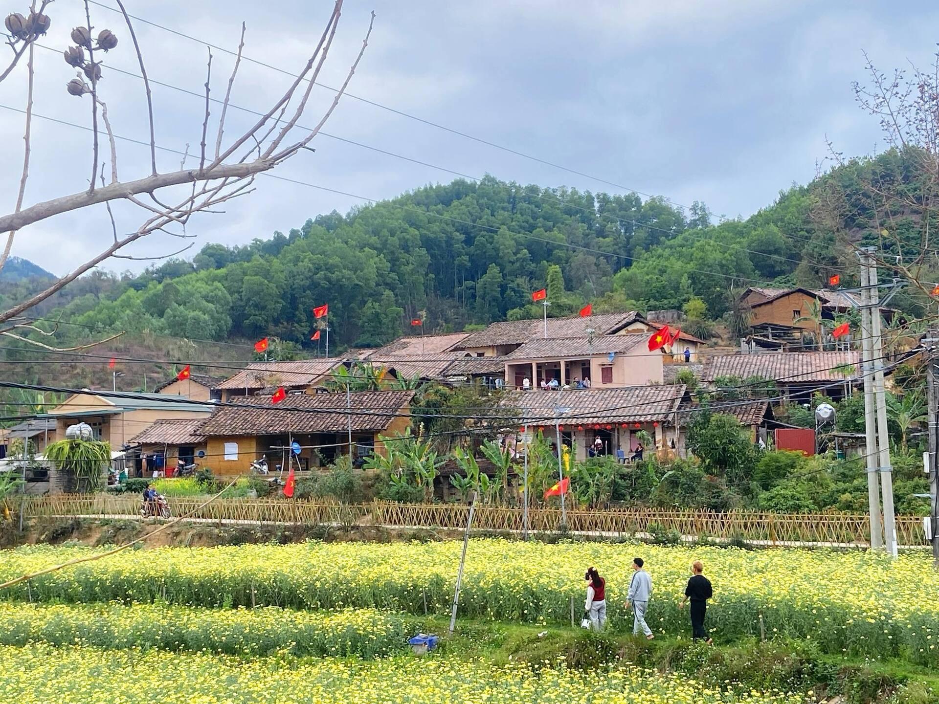 Ngôi làng vừa cổ kính vừa nên thơ trong mùa xuân. Ảnh: Ngọc Thoa