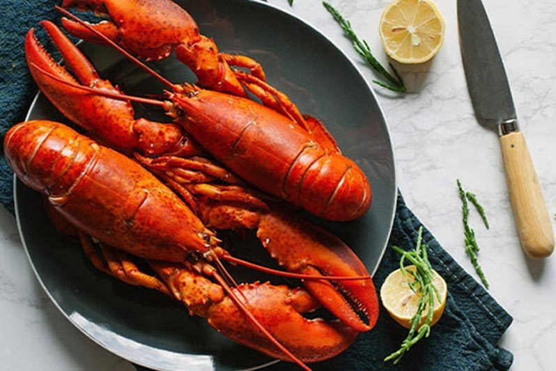 Quốc gia nào mua nhiều tôm hùm Việt Nam nhất trong năm 2025?