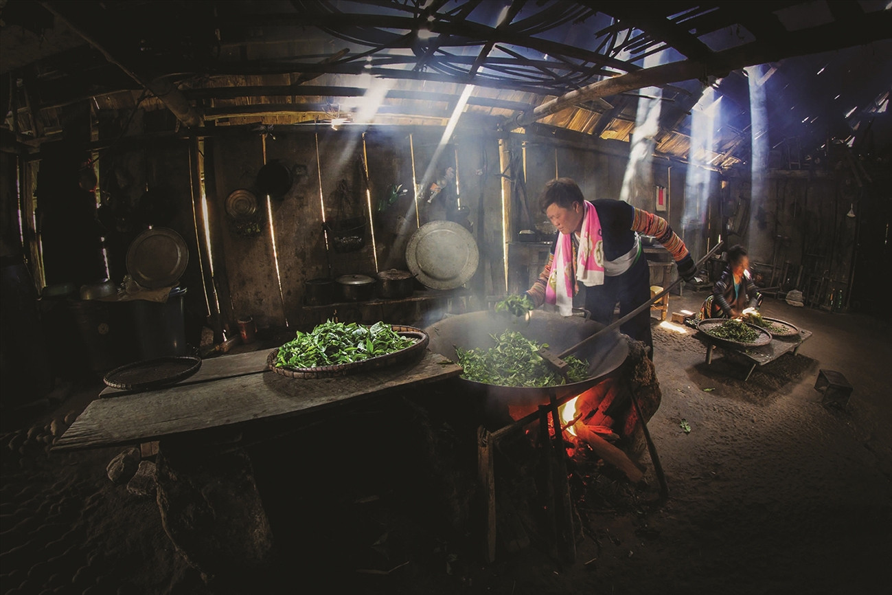 Chè Giàng Pằng vươn ra thế giới, người Mông làm giàu trên mảnh đất của mình