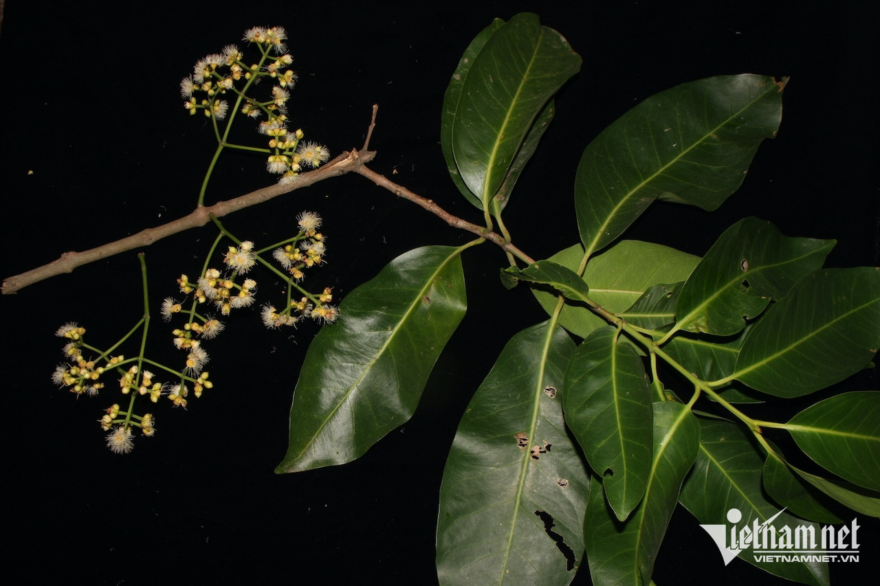 W-3077b745 28c4 4d02 aa28 8db6e2356838.jpeg