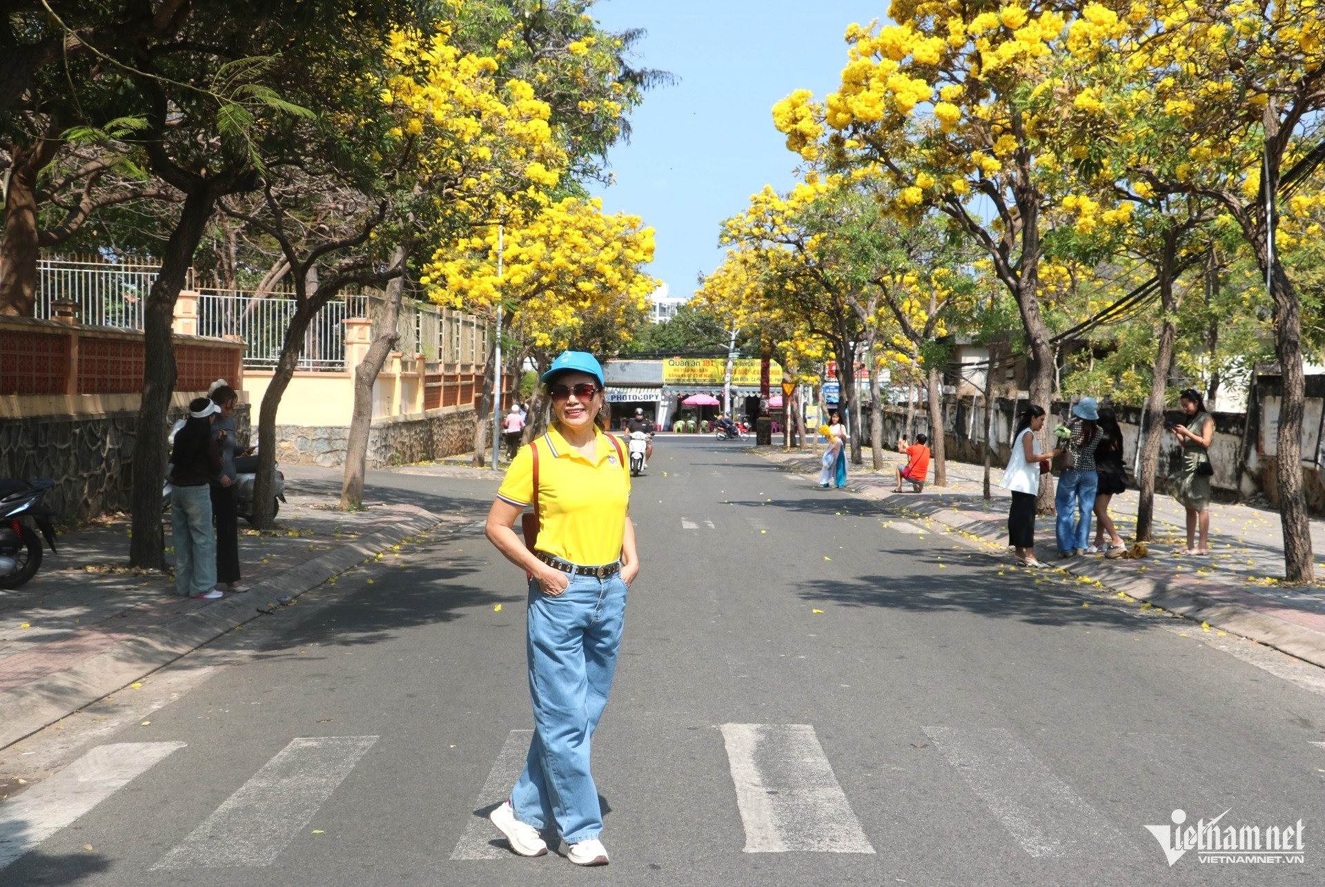 https://static-images.vnncdn.net/vps_images_publish/000001/000003/2026/3/20/w-hoa-phong-linh-chuong-vang-no-ro-o-vung-tau6jpg-1384.jpg