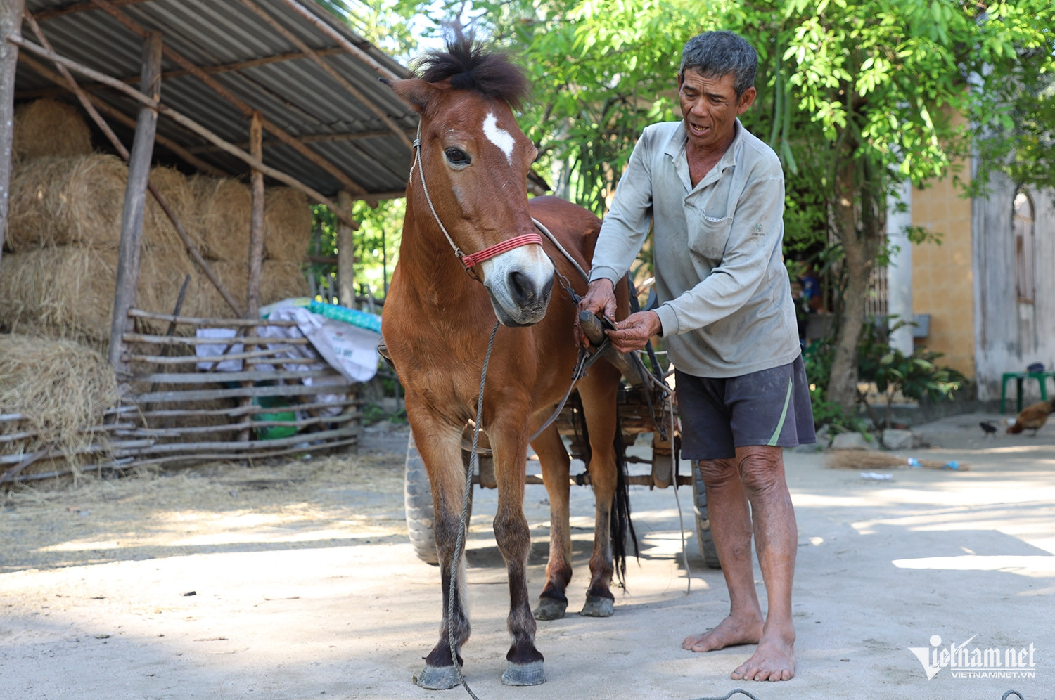 W-phu ngựa 2.JPG.jpg