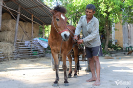 W-phu ngựa 2.JPG.jpg