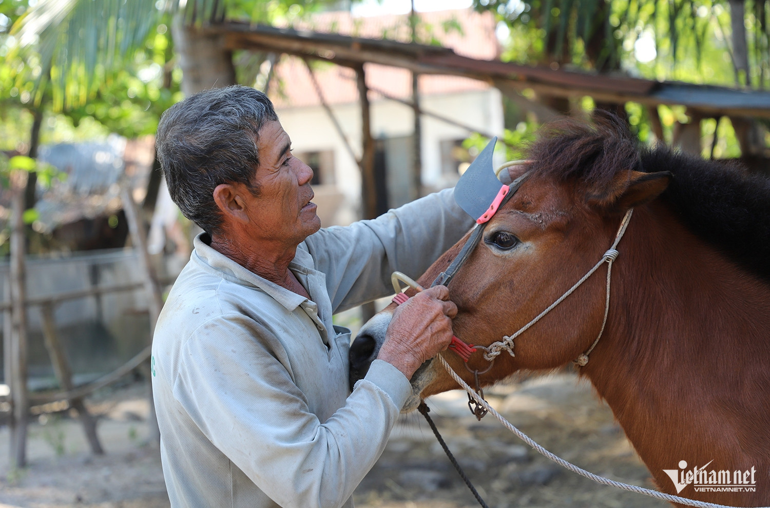 W-phu ngựa 3.JPG.jpg