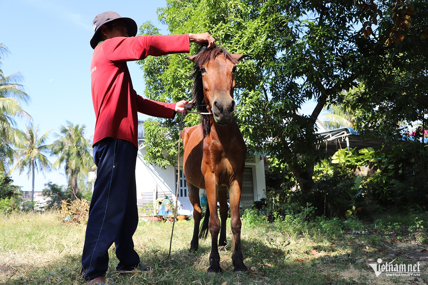 W-phu ngựa 4.JPG.jpg