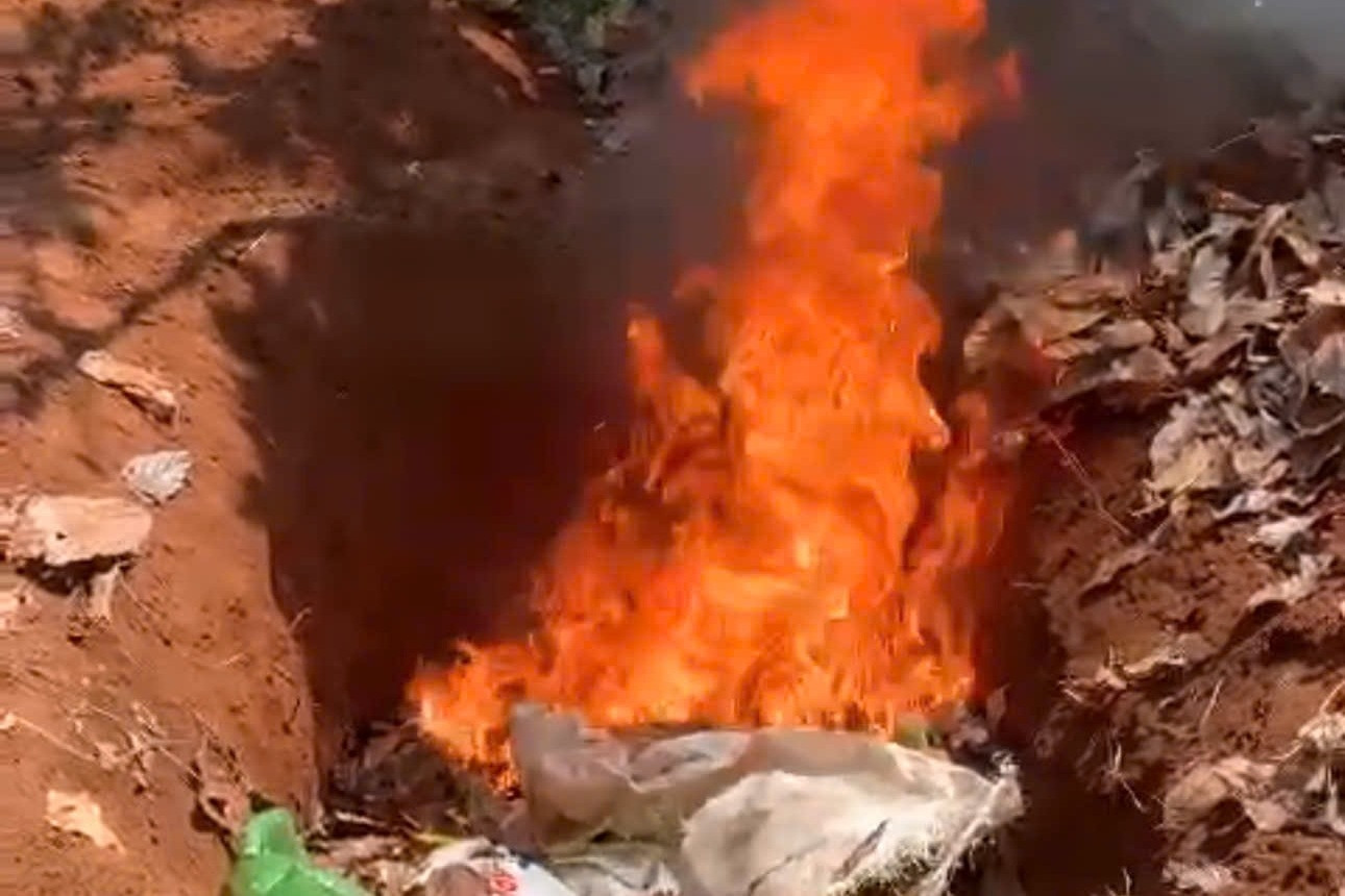 Chó dại cắn 6 người, tiêu hủy khẩn vật nuôi của 11 hộ dân