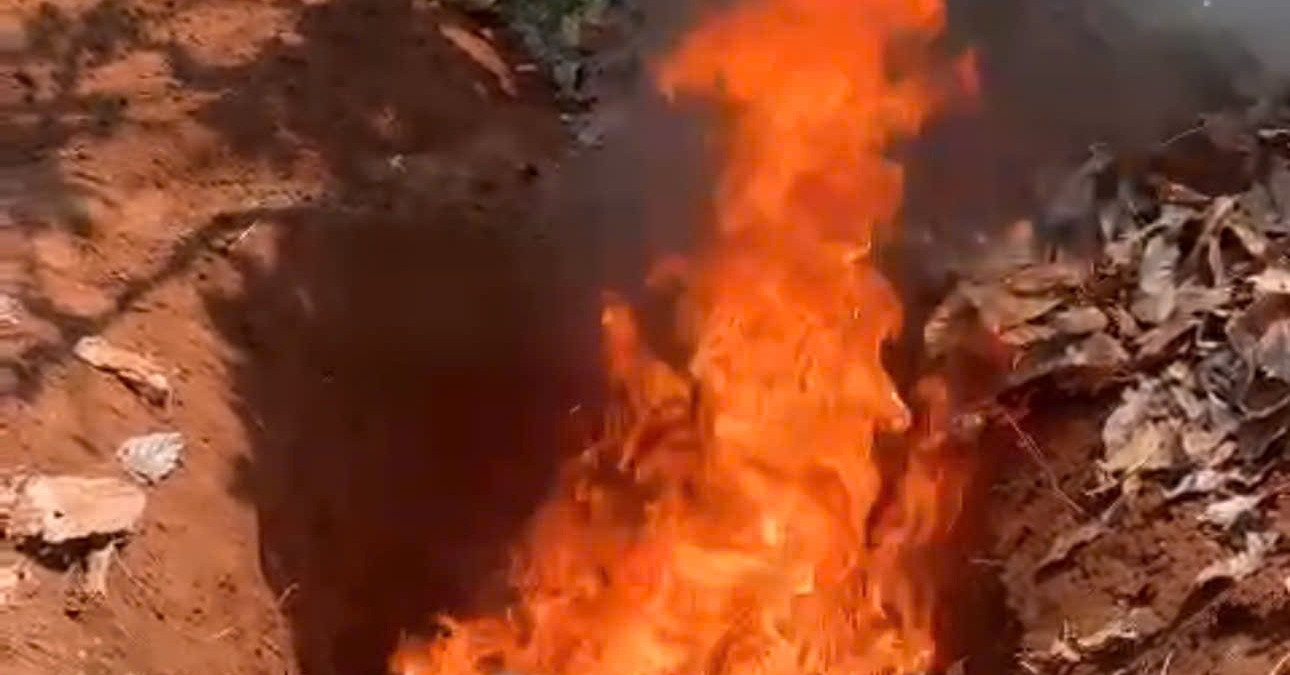 Chó dại cắn 6 người, tiêu hủy khẩn vật nuôi của 11 hộ dân