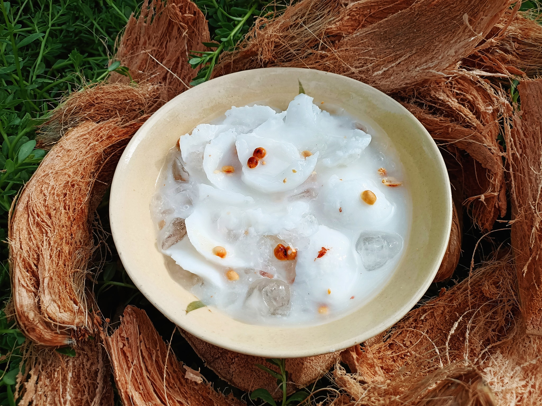 dừa sáp phương điền viên 2.png