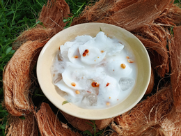 dừa sáp phương điền viên 2.png