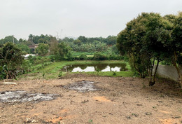 Xây nhà trên đất mua bằng giấy tay từ năm 1989, có bị xử phạt khi làm sổ đỏ? Bộ trả lời vụ đất vườn ôm đất ở, một thửa 2 sổ đỏ: Lên thổ cư có phải tách thửa?