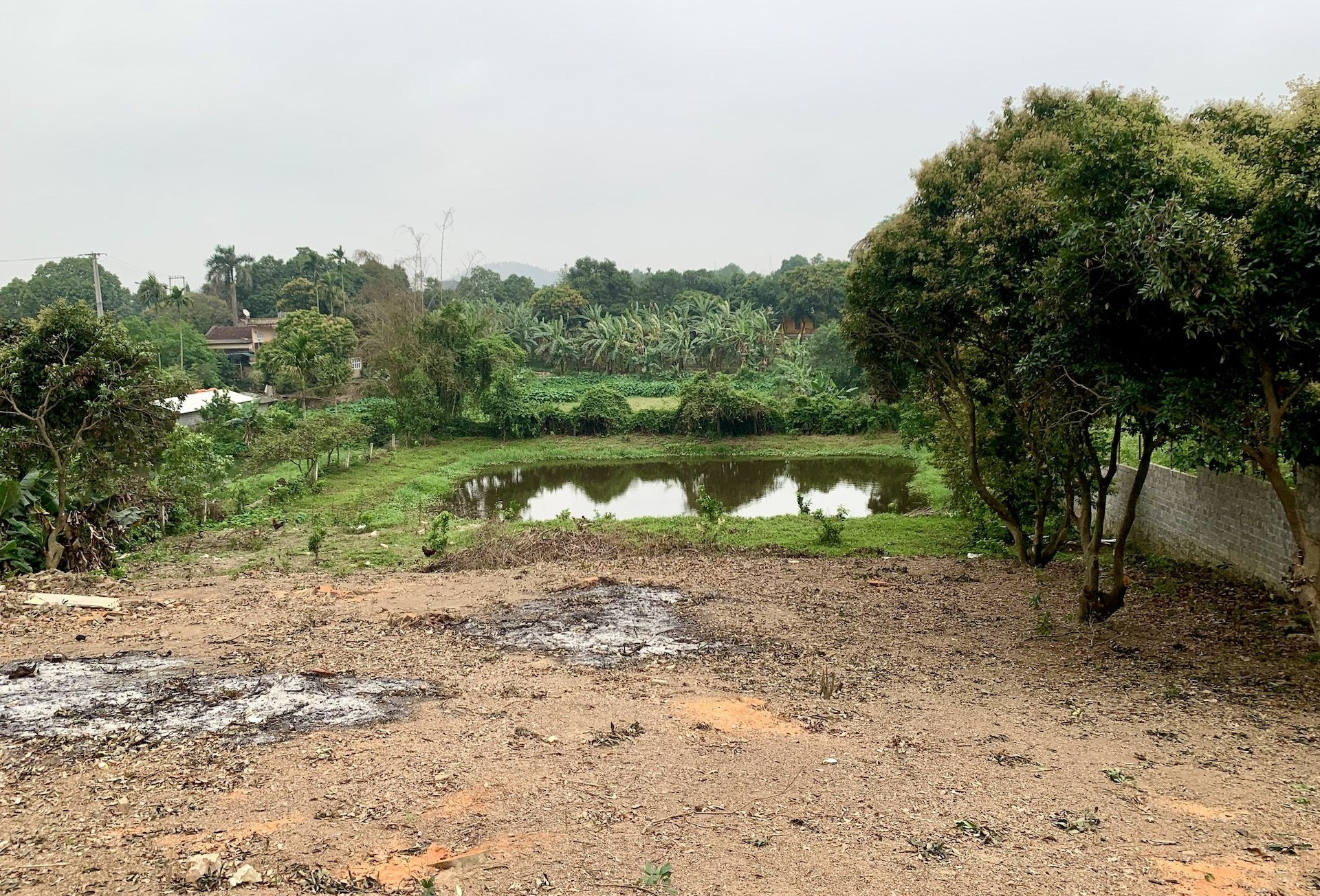 Bộ trả lời vụ đất vườn ôm đất ở, một thửa 2 sổ đỏ: Lên thổ cư có phải tách thửa?