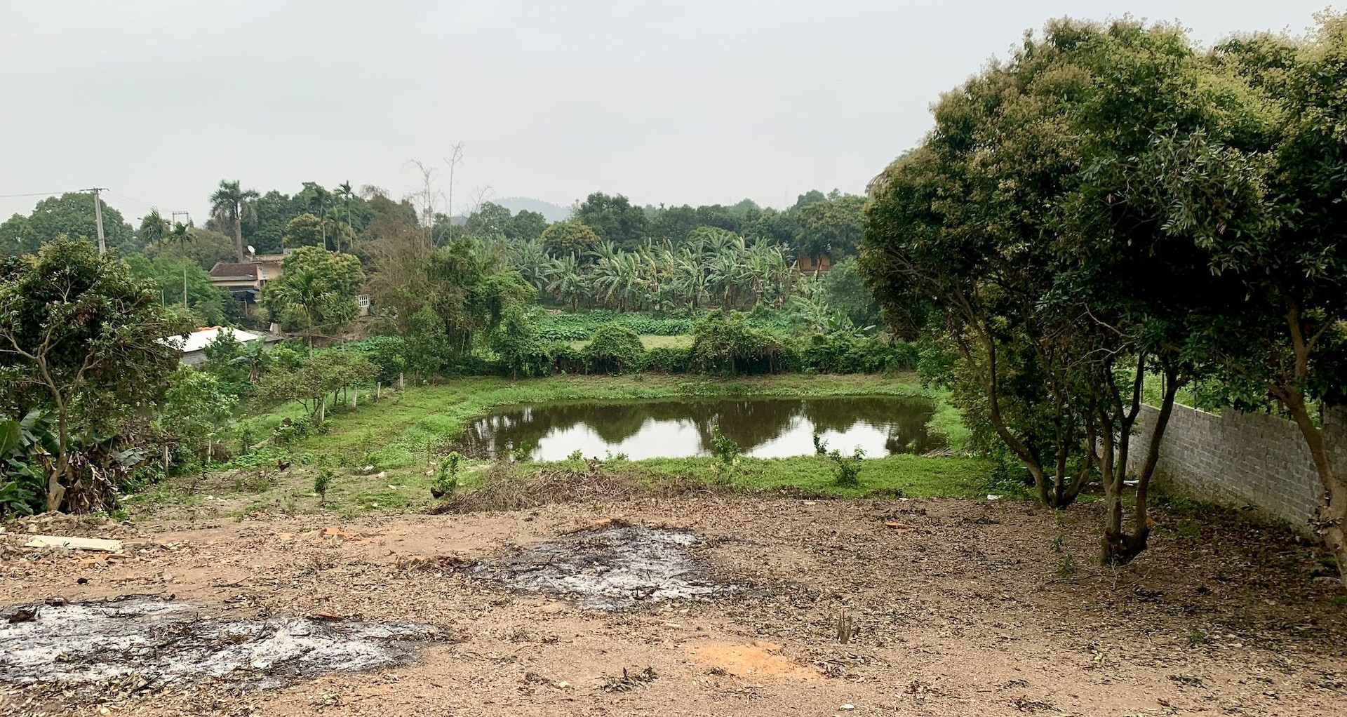 Bộ trả lời vụ đất vườn ôm đất ở, một thửa 2 sổ đỏ: Lên thổ cư có phải tách thửa?