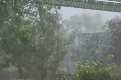 Xuất hiện mưa đá dữ dội ở Phú Thọ