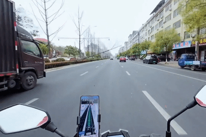 Nam biker ngã 'sấp mặt' giữa đường vì phanh gấp để tránh cây đổ bất ngờ