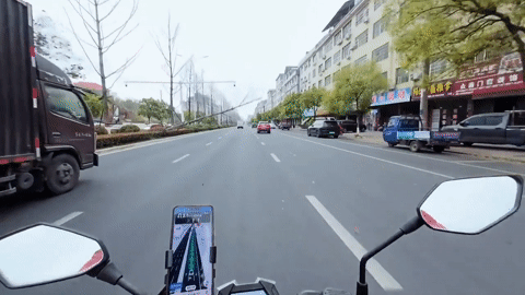 Nam Biker Nga Suýt Mất Mạng Khi Phanh Gấp Tránh Cây Đổ Bất Ngờ Giữa Đường