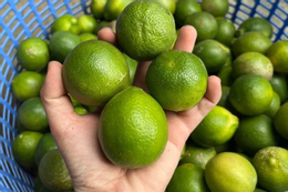 4 tác hại khi uống bia sau tập luyện thể thao YwAAAAAAQABAAACAUwAOw==