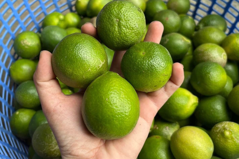 Uống nước chanh trị gout 3 tuần, người đàn ông trẻ phải chống nạng vào viện