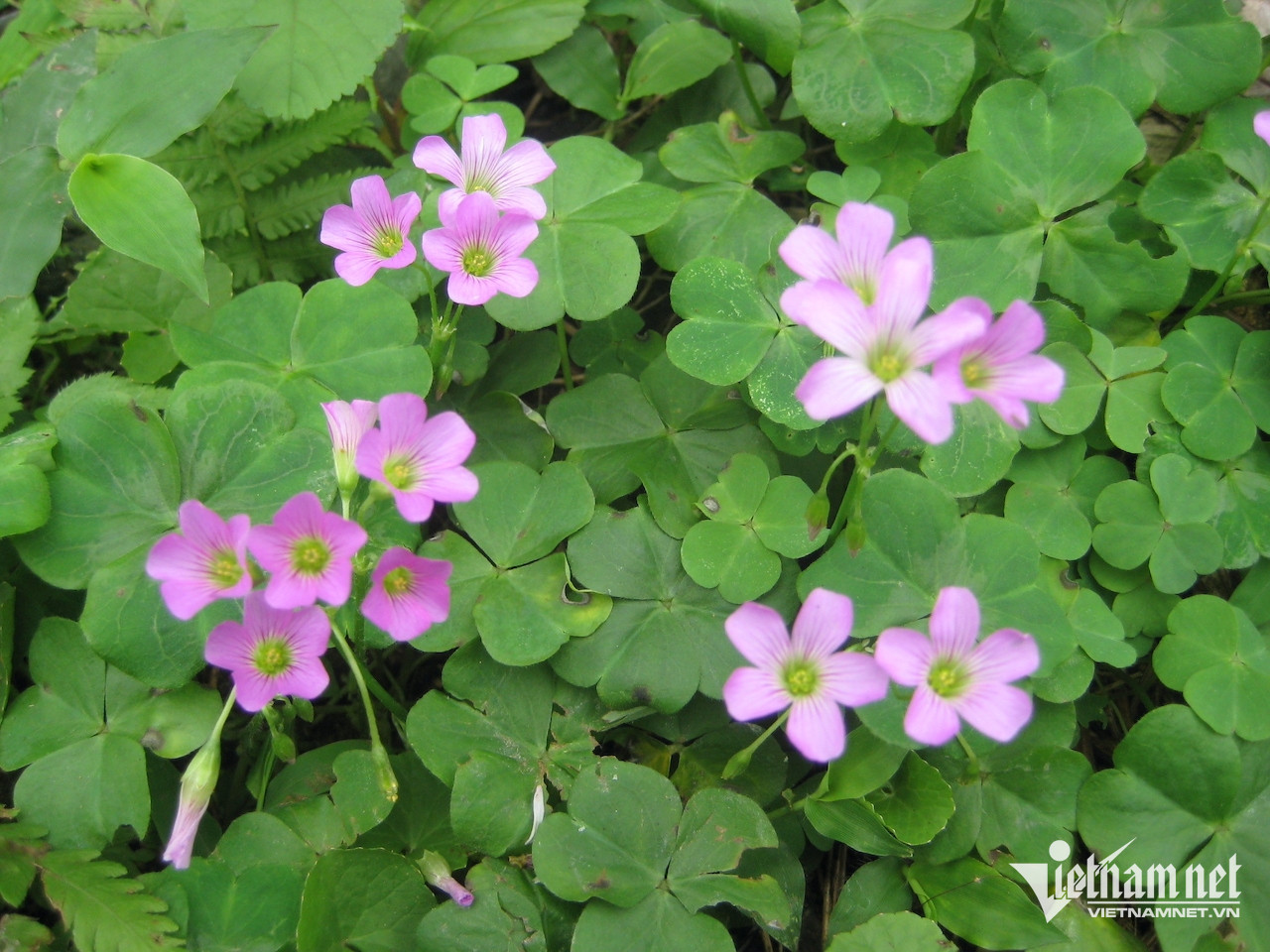 W-f3fe9095 b4ae 42dc bb33 f955262b87a4.jpeg