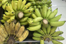 Bác sĩ về thần kinh chia sẻ một quy tắc khi uống cà phê tốt cho não bộ Chuyên gia chia sẻ sự thay đổi của cơ thể khi ăn chuối hằng ngày trong một tuần