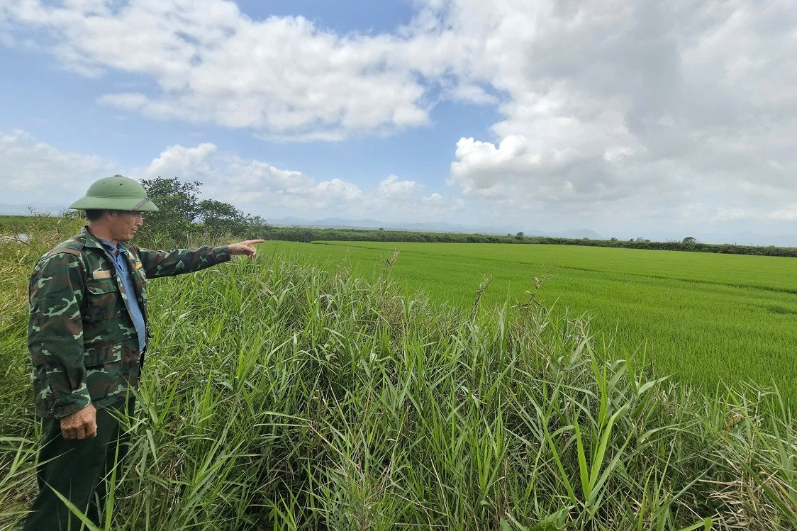Dứt bỏ nghề nậu chim, người đàn ông Quảng Trị dựng hệ sinh thái bạc tỷ giữa đầm phá