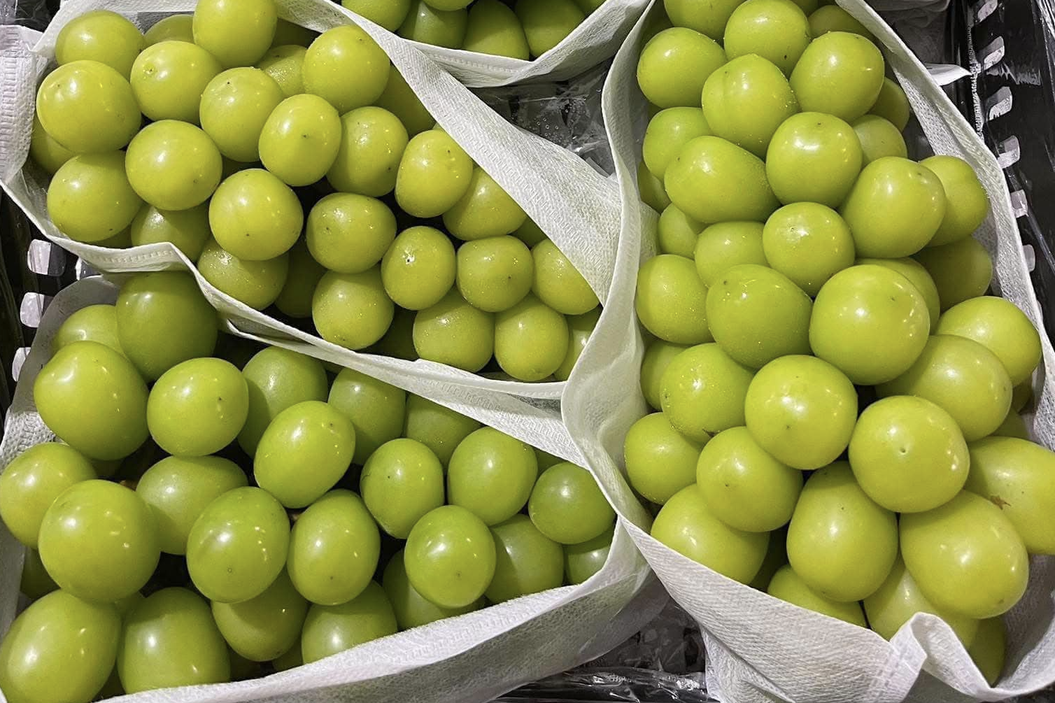 Việt Nam mua nhiều nho của Trung Quốc nhất, có loại bán ra chỉ 20.000-30.000 đồng/kg