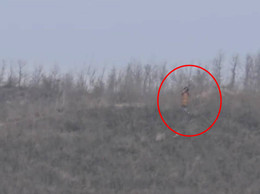 me tien con anh1.jpg