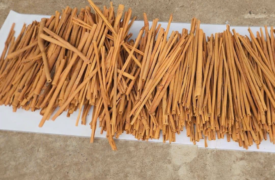 que là duoc lieu.png