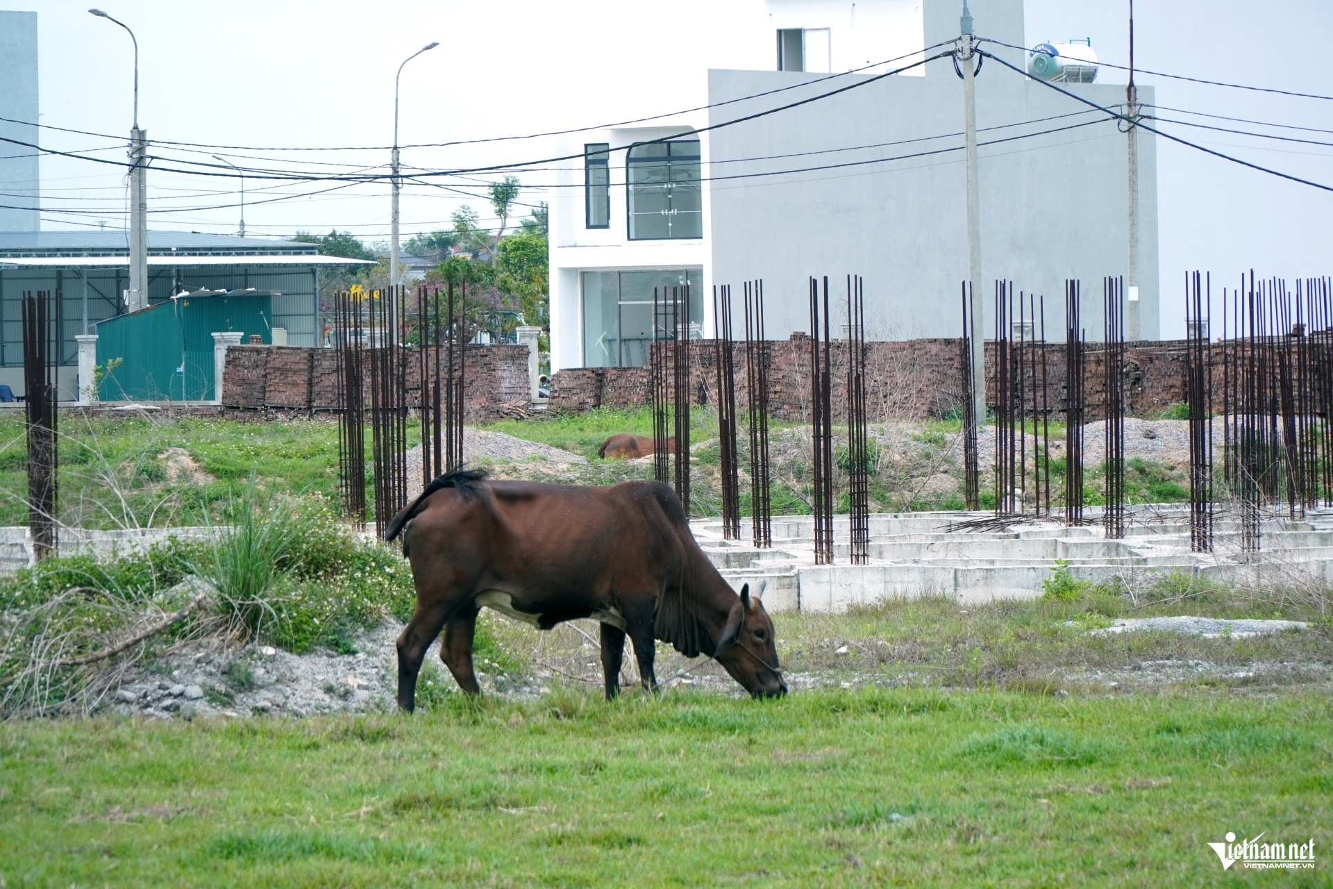 W-a6Thu hồi dự án 670 tỷ đồng.JPG.jpg