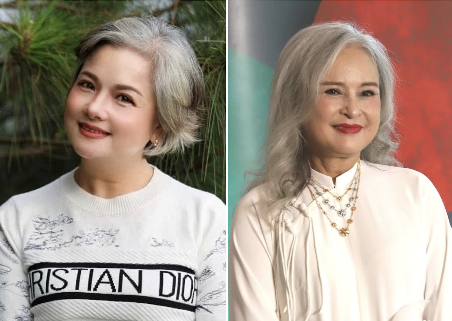 2 mỹ nhân tóc bạc là diễn viên nổi tiếng: Người là Đại tá, người mắc bạo bệnh